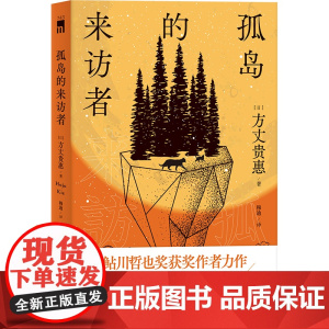 孤岛的来访者
