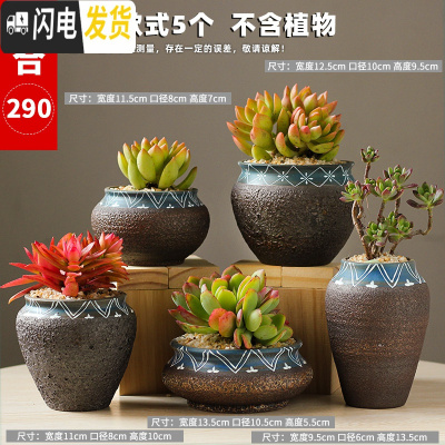 三维工匠多肉花盆粗陶透气大口径家用创意个性肉肉植物陶瓷老桩盆 套装二十四 中等花盆容器