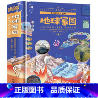 奇妙知识大图解-地球家园 [正版]奇趣知识大图解系列共6册百科全书儿童6-12岁青少年奇妙知识科学书科普书籍百科知识大全