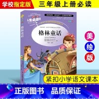 格林童话 [正版]绿野仙踪三四年级课外书必读老师的快乐读书吧木偶奇遇记二年级上册下册课外阅读书籍秘密花园绿山墙的安妮小学