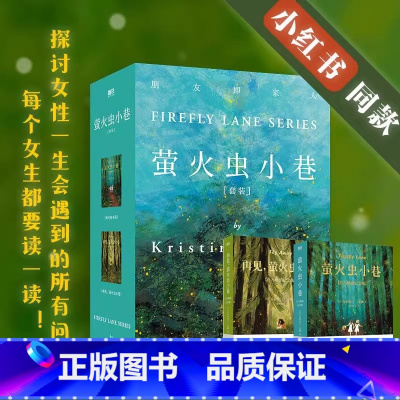 [全4册]克莉丝汀·汉娜作品集合 [正版]2册套装萤火虫小巷+再见萤火虫小巷 克莉丝汀汉娜 探讨女性一生会遇到的所有问题