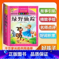 (单本)绿野仙踪 [正版]全套68本小学生快乐读书吧一二三四五六年级儿童文学四大名著童年安徒生格林童话朝花夕拾简爱小王子