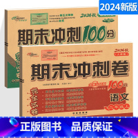 [正版]2024新版期末冲刺100分二年级上册试卷人教版语文+北师版数学 小学2年级同步单元测试卷期中末检测复习模拟考