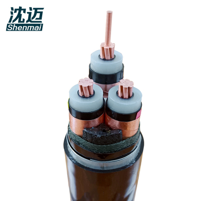 沈迈 铜芯铠装电缆 ZC-YJV22-10-1-3*240mm² /米