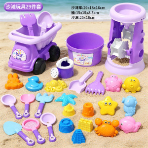 紫色沙滩工具3750