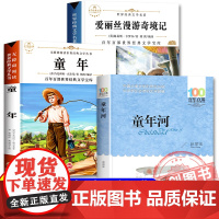 八桂悦读 2025暑假五升六阅读全套4本 童年 高尔基著 爱丽丝漫游奇境 刘易斯卡罗尔著 童年河 儿童文学必读书 书香
