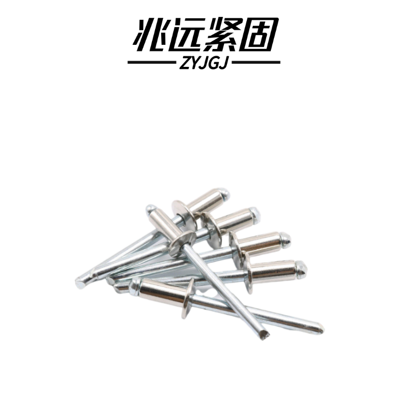 兆远紧固 抽芯铆钉拉铆钉(个)(4*10)