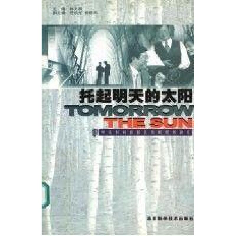 正版新书]托起明天的太阳:中关村科技园区发展规划研究林文漪