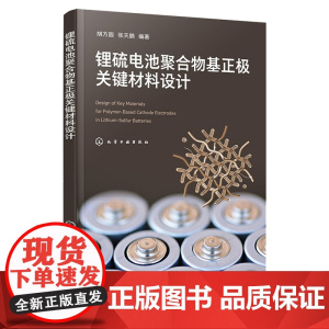 锂硫电池聚合物基正极关键材料设计 胡方圆 化学工业出版社