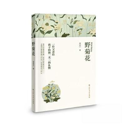 正版新书]野菊花黄金日9787531761778