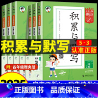 [3本]积累与默写+同步作文+练字帖 四年级下 [正版]2025新版53小学基础题语文积累与默写一二三年级四五年级六年级