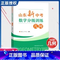 山东新中考数学分级训练:几何 [正版]2024新版山东新中考数学分级训练代数+几何山东中考真题学考结合难度分级知识点重点