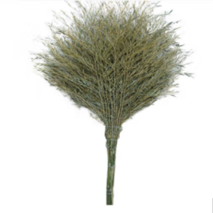 高杨茂诺 竹子扫把 普通款 把