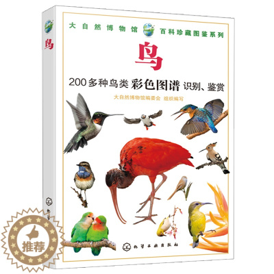 [醉染正版]大自然博物馆 百科珍藏图鉴系列 鸟 鸣禽陆禽猛禽收录 鸟类生活环境习性繁殖特点知识 青少年中小学生鸟类科普百