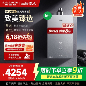 AO史密斯新品小体积16升精钢燃气热水器[小精钢EC5] 持久恒温 天然气 JSQ31-EC5