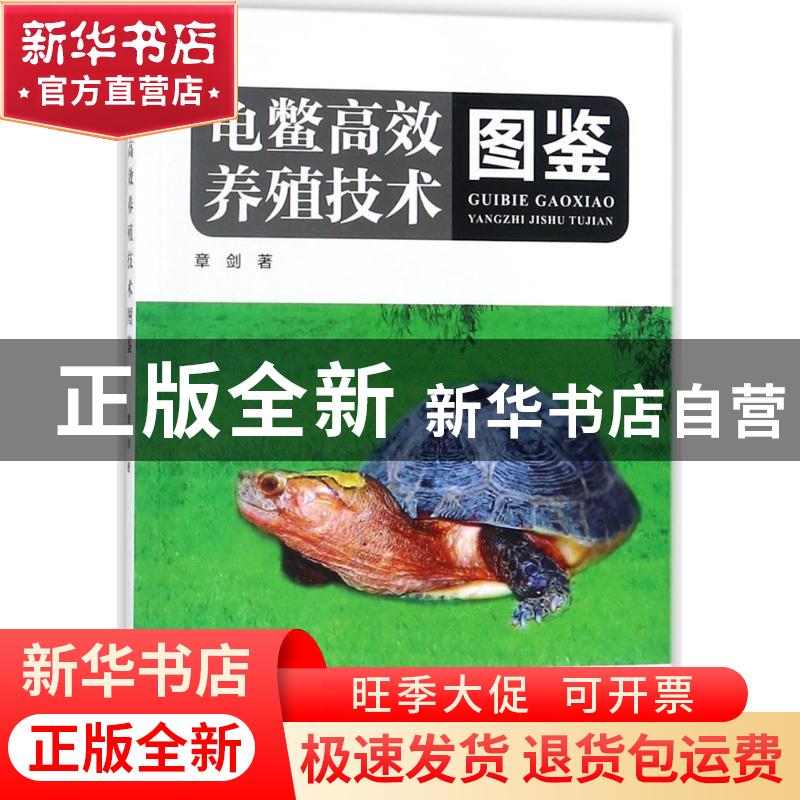 正版 龟鳖高效养殖技术图鉴 章剑 海洋出版社 9787521000115 书籍