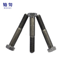 铂灳 六角头螺栓 M20*100 个