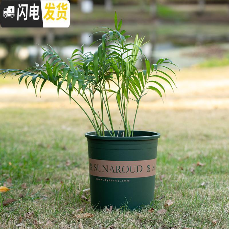 三维工匠塑料树脂矮胖加仑花盆加厚绿萝月季多肉特大号口径 高款(绿色)3加仑[10个装]10送2 不含托盘花盆容器