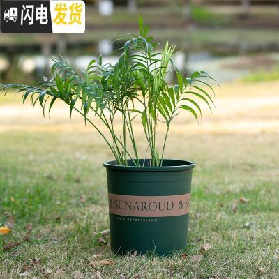 三维工匠塑料树脂矮胖加仑花盆加厚绿萝月季多肉特大号口径 高款(绿色)3加仑[10个装]10送2 不含托盘花盆容器