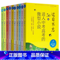 过目不忘:50则进入中考高考的微型小说(全10册) 高中通用 [正版] 全10册 过目不忘:50则进入中考高考的微型