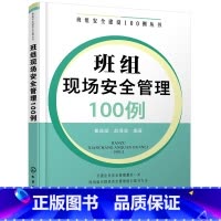 [正版]班组安全建设100例丛书 班组现场安全管理100例 班组长管理书籍 班组现场安全管理 企业安全管理 班组安全生