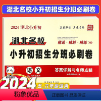[正版]2024湖北名校小升初招生分班必刷卷 语文初一入学分班必刷题 武汉小升初冲刺试卷测试卷总复习语文小学升学考试真