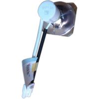 成越全新丽讯D522ST原装投影机灯泡投影仪灯泡_oQd82