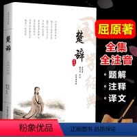 [正版]全注音无删减楚辞 原著全集全注音版原文注释译文全本无删减无障碍阅读书籍离骚屈原 离骚九歌中国古诗词中华国学经典