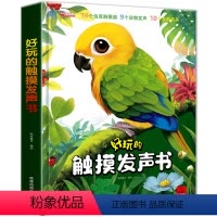 好玩的触摸发声书 [大开本] [正版]好玩的触摸发声书 早教启蒙书婴儿绘本0到3岁1-2-3岁一岁半两岁宝宝书籍撕不烂益