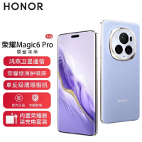 荣耀Magic6 Pro 流云紫 16GB+1TB 第三代骁龙8旗舰芯 鸿雁卫星通信 1.8亿像素潜望长焦 80W快充 巨犀玻璃十倍抗跌 5G手机