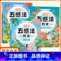 情景五感法作文 全3册 小学通用 [正版]五感法写作技巧与方法写作文三到六年级素材积累小学生作文书大全至小升初小学一二四
