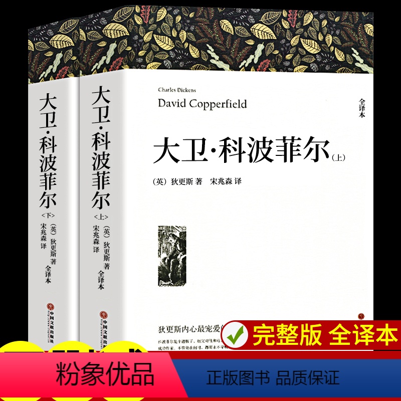 全10册 大卫·科波菲尔+战争与和平+飘+悲惨世界+基督山伯爵 [正版]大卫科波菲尔高中生版查尔斯狄更斯著高一必读课外书