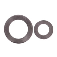 伟鹏双兴 不锈钢缠绕垫片法兰石墨垫 DN600 片