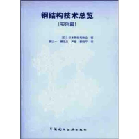 音像钢结构技术总览(日)日本钢结构协会 编