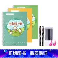 五年级下册/3本 [正版]一年级二年级三年级上册下册语文同步练字帖凹槽四五六人教版小学生每日一练硬笔书法楷书练字本笔画笔