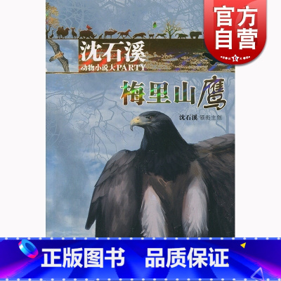 [正版]梅里山鹰 沈石溪 少年儿童出版社 世纪出版 图书籍