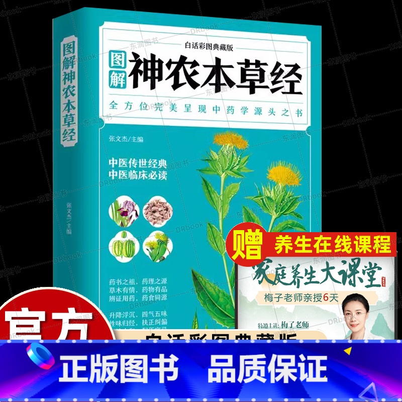 [正版]彩图神农本草经原版倪海厦人卫同款古籍原版释译导读零基础学中医四大名著入门大全中国古代中药巨著熟知药材知识运用药