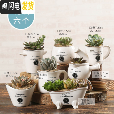 三维工匠多肉花盆陶瓷创意个性粗陶肉肉植物盆器大口径小花盆 浅灰色白色复古随机6个 中小花盆容器