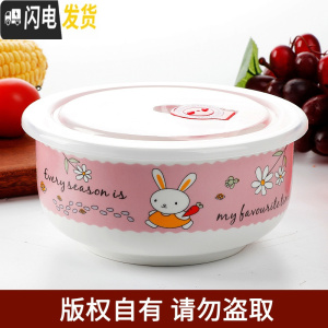 三维工匠国美5/6英寸保鲜碗冰箱微波炉饭盒保鲜盒密封碗大号泡面碗 快乐兔(6英寸)