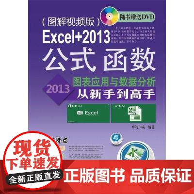 Excel+2013公式、函数、图表应用于数据分析从新手到高手:图解视频版