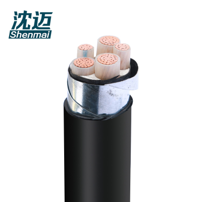 沈迈 铜芯电缆 ZR-YJV-22-0.6/1kV-3×70+2×35mm² /米