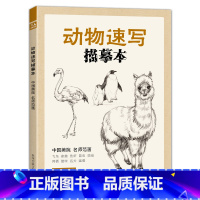 [正版]经典全集 动物速写描摹本 零基础画画入门新手自学教程书籍线描sh