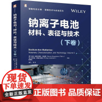 钠离子电池 材料表征与技术 下卷 胡勇胜 谢飞 智能电动汽车新能源汽车储能技术应用书籍 锂离子电池
