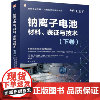 钠离子电池 材料表征与技术 下卷 胡勇胜 谢飞 智能电动汽车新能源汽车储能技术应用书籍 锂离子电池