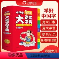 [正版]教育 2024新版小学生多功能大语文字典彩图大字版汉语词典辞典大开本语文生字词典字典 扫码听辨析音频-