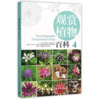 观赏植物百科 4