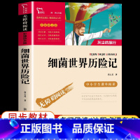 细菌世界历险记 [正版]细菌世界历险记 灰尘的旅行 快乐读书吧四年级下册 南方出版社 中小学生课外阅读指导丛书无障碍阅读