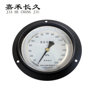 嘉禾长久+精密压力表轴向带边检测定制型+YB150ZT+0.4级+块