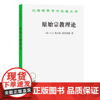 原始宗教理论/汉译世界学术名著丛书