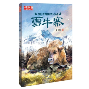 醉染图书雪牛寨/<儿童文学>作家书系9787514852745